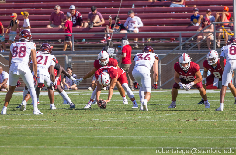 stanford football 2024